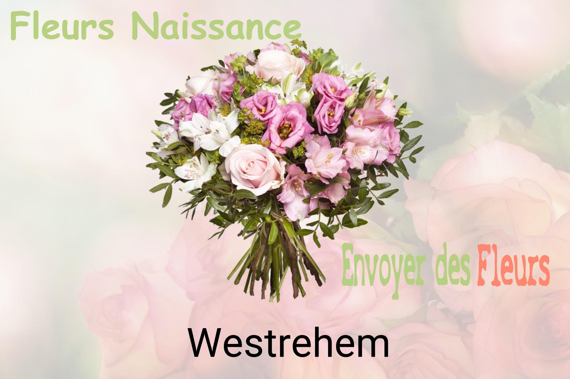 Bouquet de fleurs de naissance livré à Westrehem